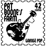 pat boones farm cavetone records nuggets electric 12 string awesome